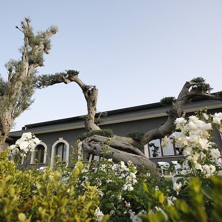 Villa Terra di Venera Santa Venerina Esterno foto